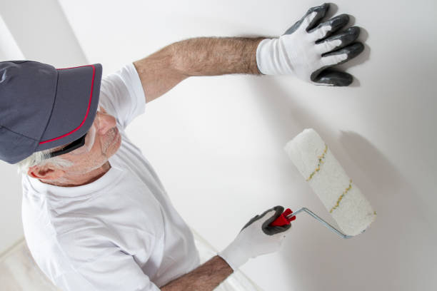 Best Drywall Sanding and Smoothing  in Mcdade, TX